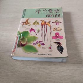 洋兰赏培600问