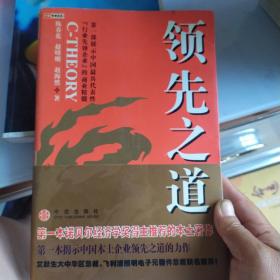 领先之道：第一部展示中国最具代表性“行业先锋企业”的商业精髓