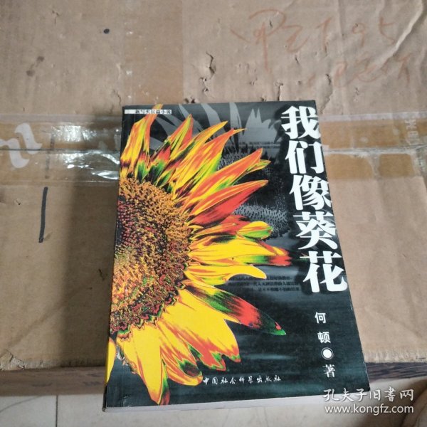 我们像葵花:新写实长篇小说