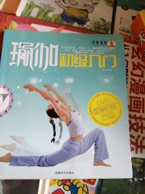 景丽瑜伽：瑜伽初级入门（升级版）
