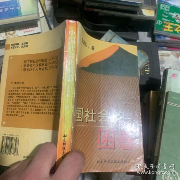 中国社会的困惑