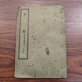民国校正世补斋医书，文集【上下二册十六卷全】