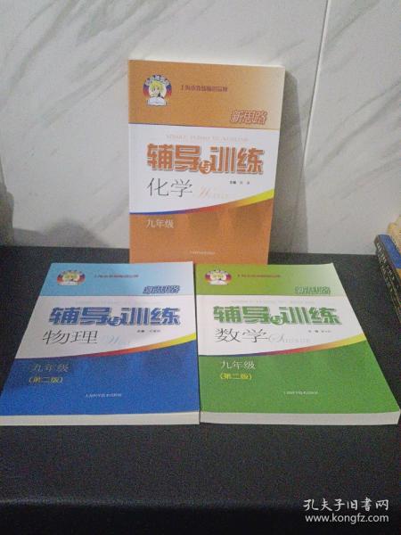 新思路辅导与训练 数学 九年级（第二版）