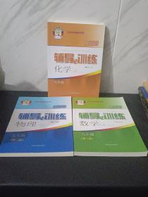 新思路辅导与训练 数学 九年级（第二版）