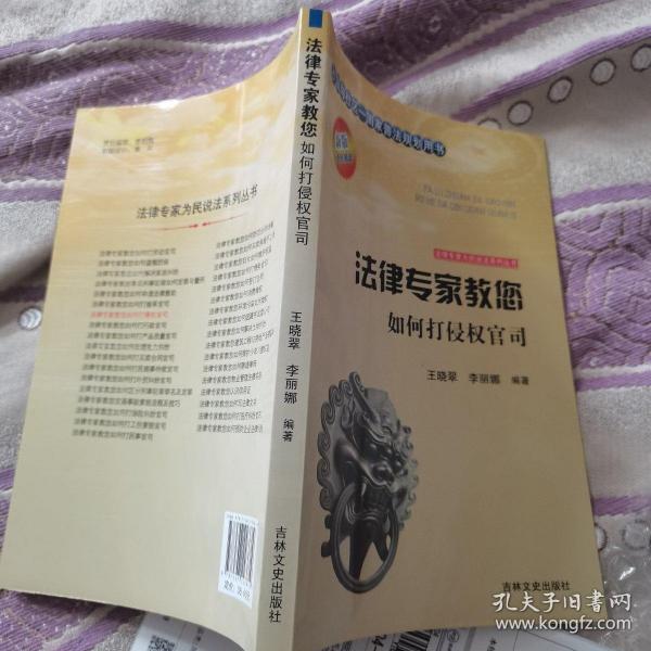 法律专家为民说法系列丛书：法律专家教您如何打侵权官司