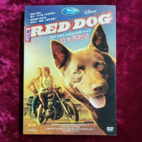 DVD 红犬历险记 拆封