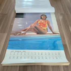 1993年挂历 泳装美女挂历13张全。