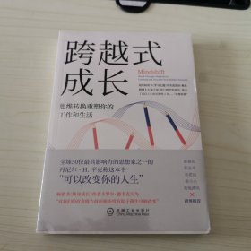 跨越式成长：思维转换重塑你的工作和生活