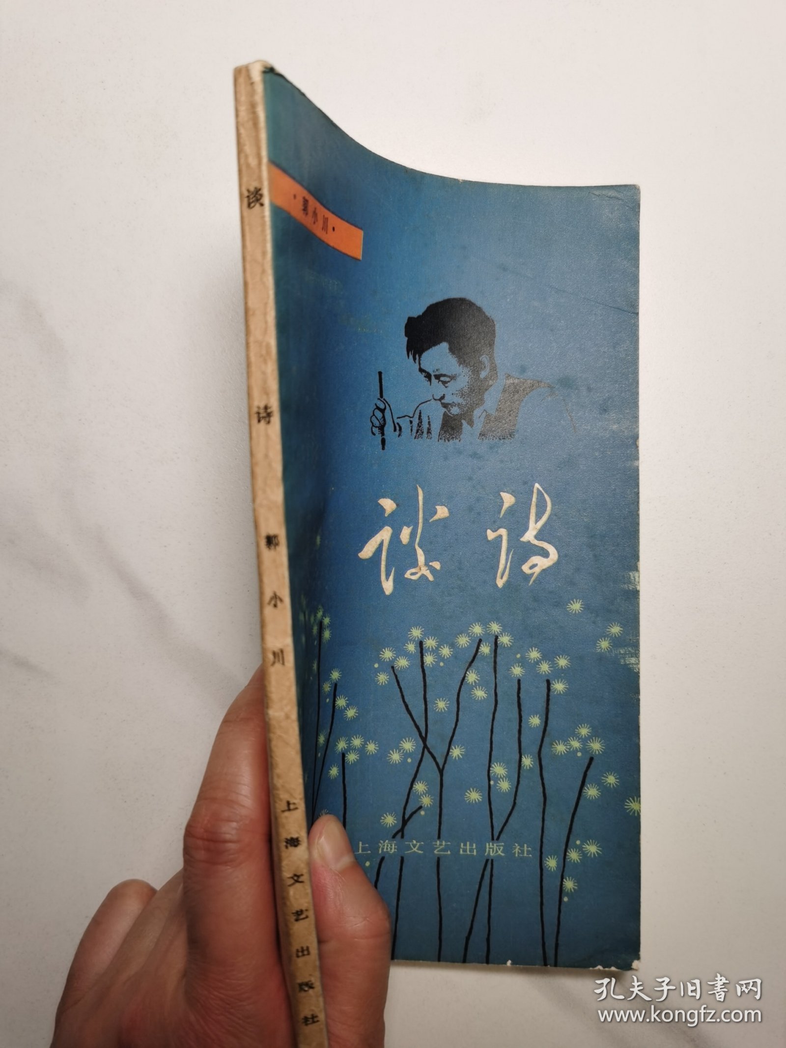 谈诗（修订本）