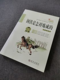 钢铁是怎样炼成的