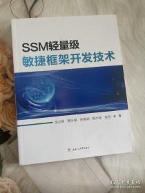 SSM轻量级敏捷框架开发技术
