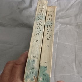 梁山后代小八义 上下册