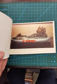 1959年明信片《盆景》（一本全12张）英文版