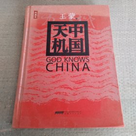 中国天机：王蒙说解中国政治珍藏本