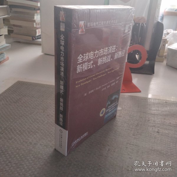 全球电力市场演进：新模式、新挑战、新路径