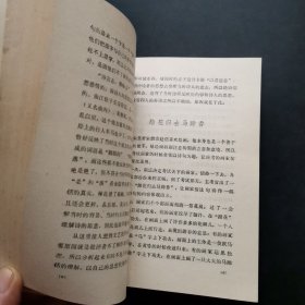 中外文学掌故