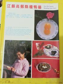 江苏泰兴县多种经营服务公司 江苏高邮县种鸭场 高邮鸭蛋 江苏资料 广告纸 广告页