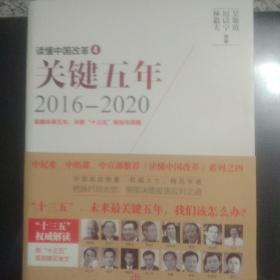 关键五年2016--2020（书里有少量笔画）