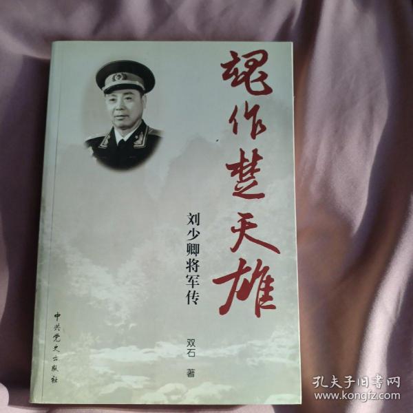 魂作楚天雄：刘少卿将军传