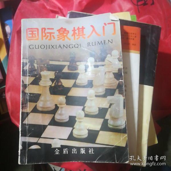 国际象棋入门