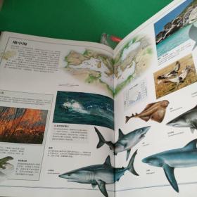 中国国家地理少儿百科：海洋，野生动物<两本合售>