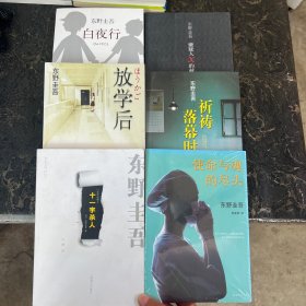 东野圭吾小说系列【共6本合售 塑封 平装】白夜行+使命与魂的尽头+十一字杀人+放学后+祈祷落幕时+嫌疑人X的献身