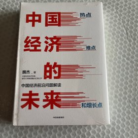 中国经济的未来：热点、难点和增长点