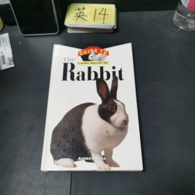 英文原版The Rabbit: An Owner's Guide to a Happy Healthy Pet兔子：一個快樂健康寵物的主人指南
