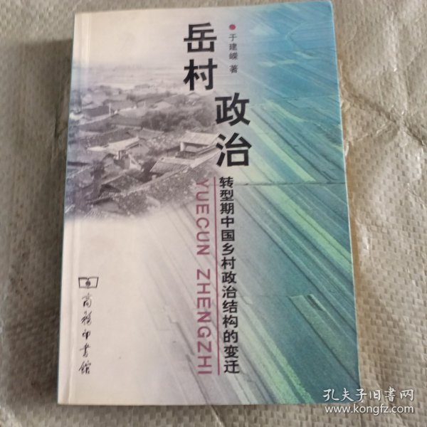 岳村政治：转型期中国乡村政治结构的变迁