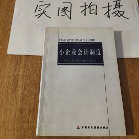 小企业会计制度