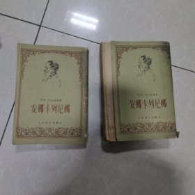 安娜.卡列尼娜上下册
