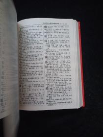 学生现代汉语词典:2003年版