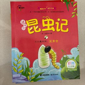 小小魔术师：菜青虫（彩图注音版）/法布尔昆虫记