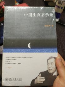 中国生存启示录