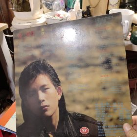 潘美辰 是你，黑胶唱片