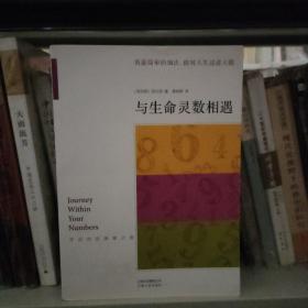 与生命灵数相遇 正版