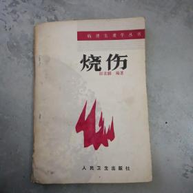 烧伤病理生理学丛书
