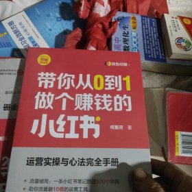 带你从0到1做个赚钱的小红书（新时代·营销新理念）