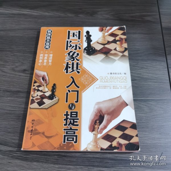 棋牌娱乐指南：国际象棋入门与提高