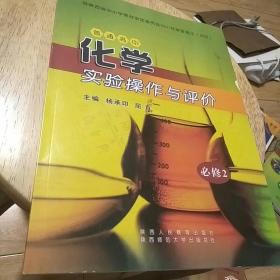 普通高中化学实验操作与评价 : 必修. 2