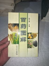 百药图解