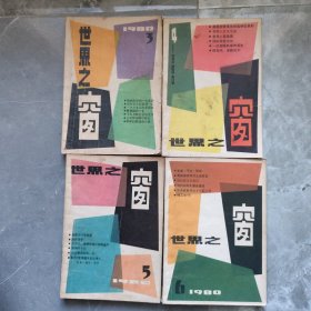 世界之窗1980年3、4、5、6集