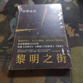 黎明之街（东野圭吾极具突破性的经典长篇小说）