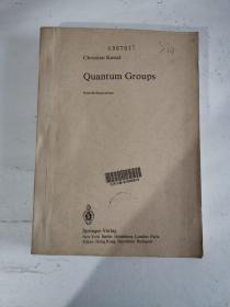 Quantum Groups