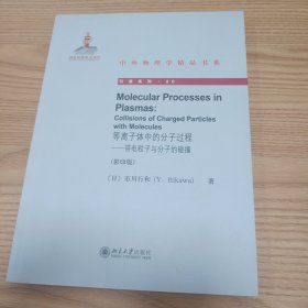 中外物理学精品书系·等离子体中的分子过程：带电粒子与分子的碰撞（影印版）