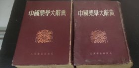 中国药学大辞典 (上下册) 精装