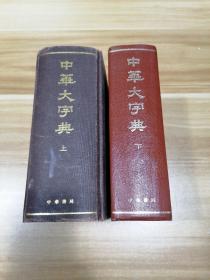 中华大字典（上下）