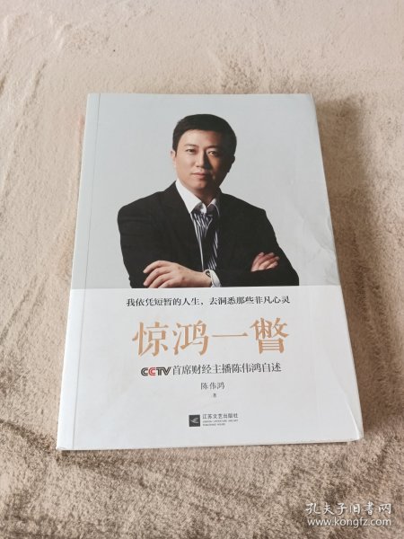 惊鸿一瞥：CCTV首席财经主播陈伟鸿自述