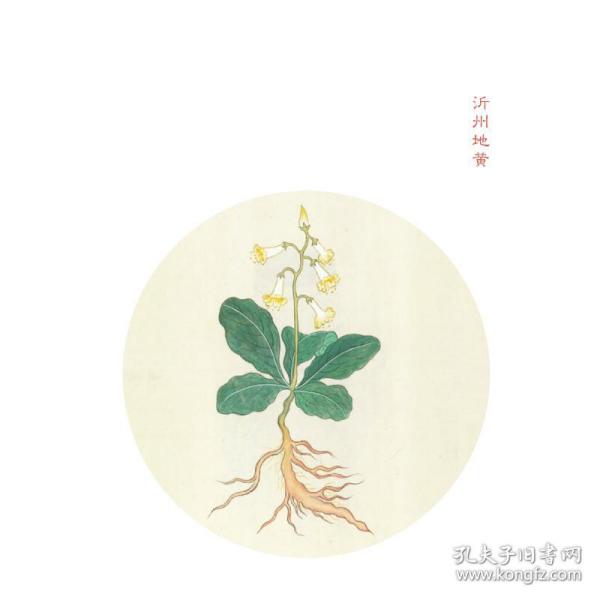 文火药香：写给有恙、有闲、不吃药的人