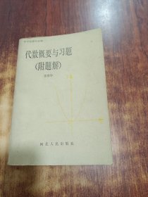 代數(shù)概要與習(xí)題（附題解）
